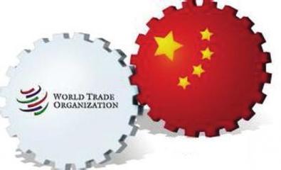 未来的中国对外贸易,必须在变化中前行,在变局中突破